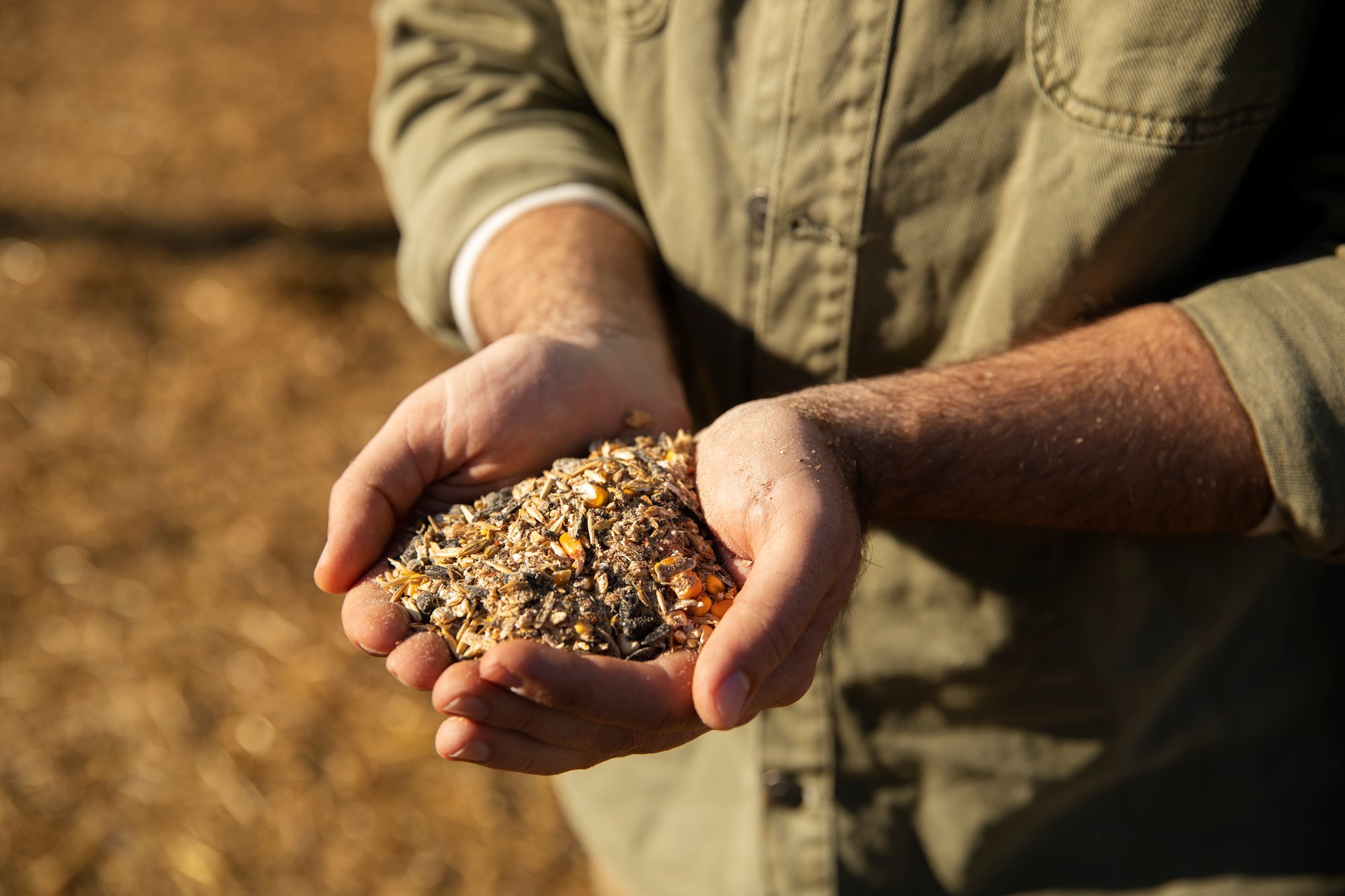 male-farmer-holding-grains-his-hands